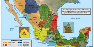 Meksika karteli göster